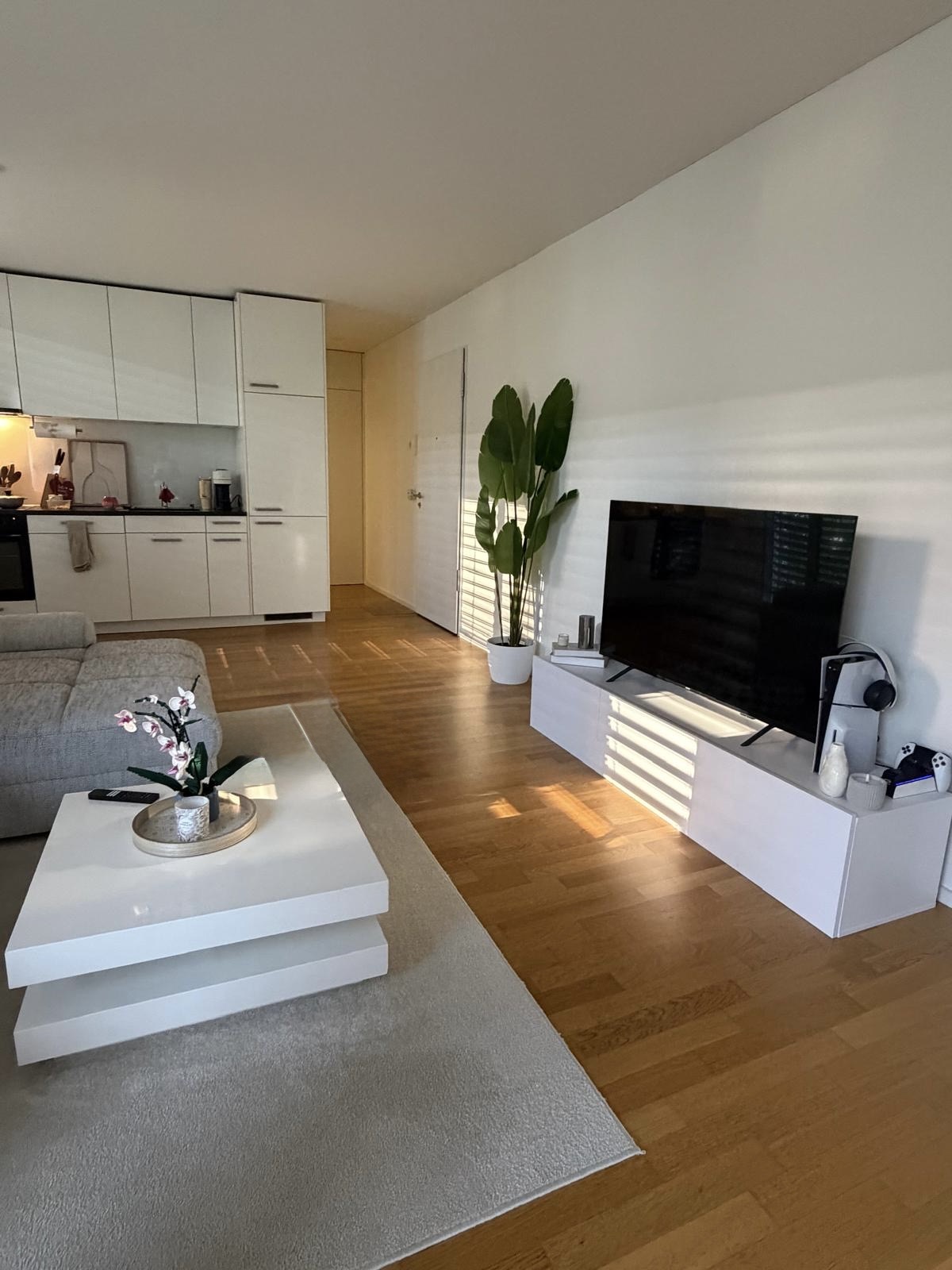 Modern Apartment in Basel — 10 Min. from Messeplatz — 4/6